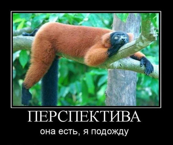 Андрей Пильщиков