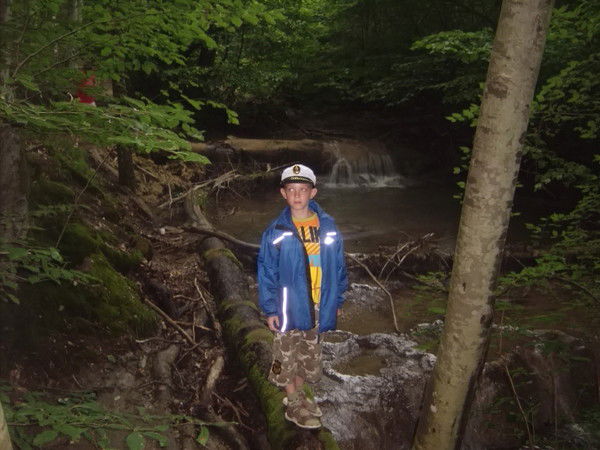 Никита Ульянов