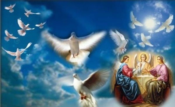 Татьяна Ровнейко