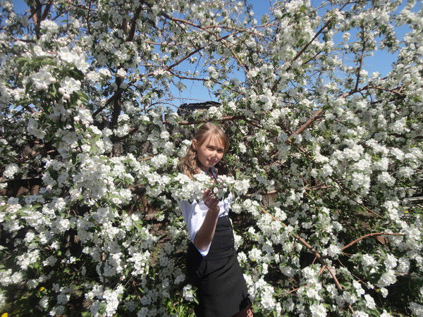 Anastasiya Godlevskaya