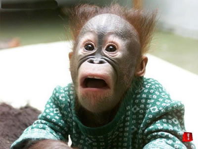 Александр Матырин