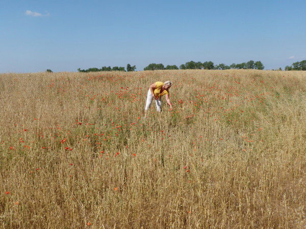 Ольга Павлова