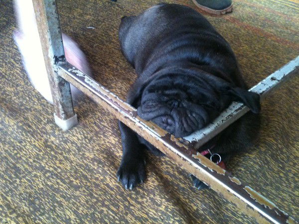 Лариса Жданова