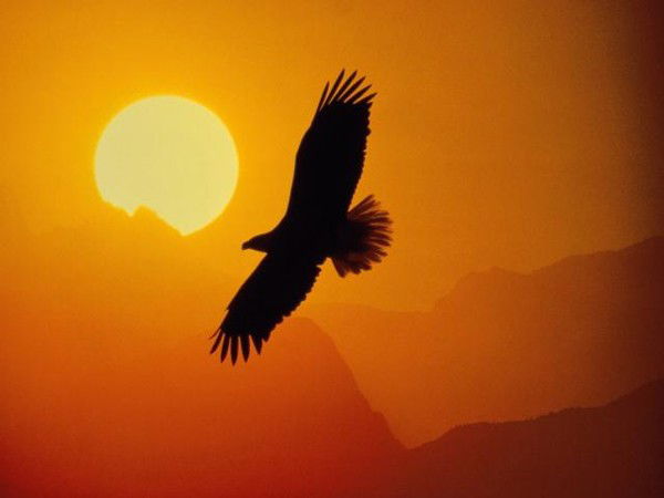 Александр Шаталов