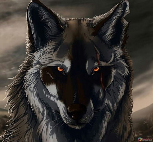 Данил Давлетов