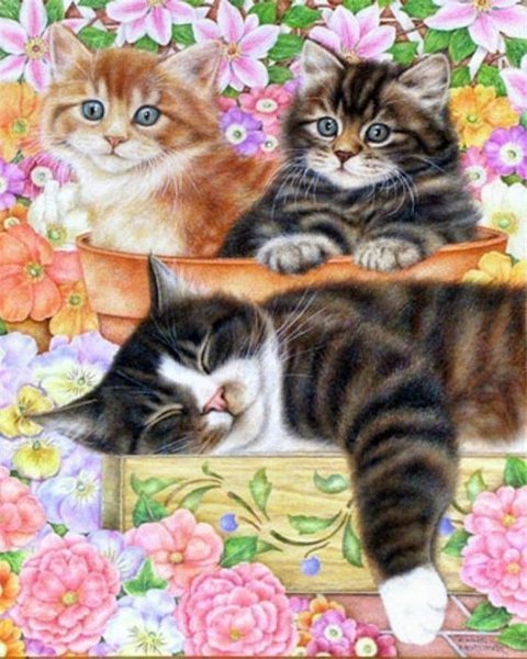 Ирина Ногина