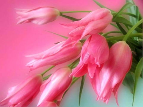 Елена Пяткова