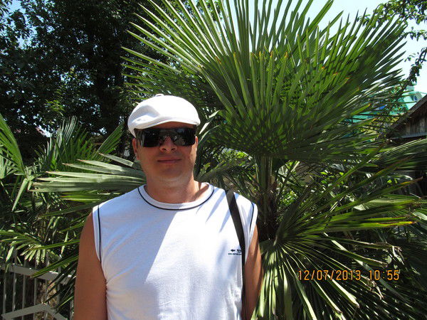 Андрей Комагоров