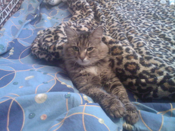 Татьяна Жиленко