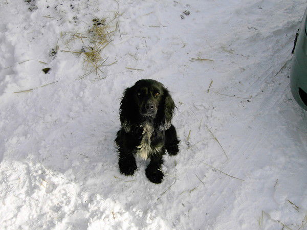 Игорь Спирин