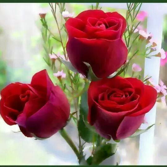 Азима Икромова