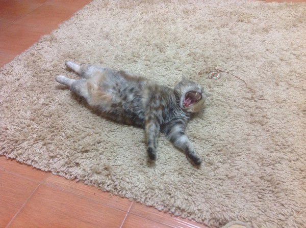 Ольга Курбатова