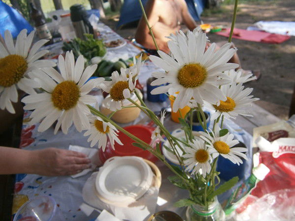 Кэтик Шпакивская