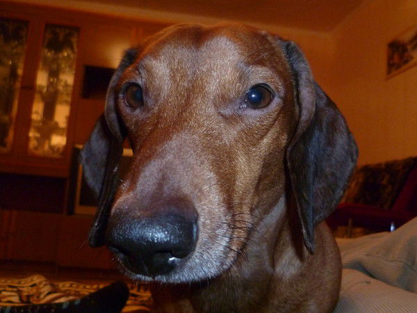 Игорь Крупчаткин