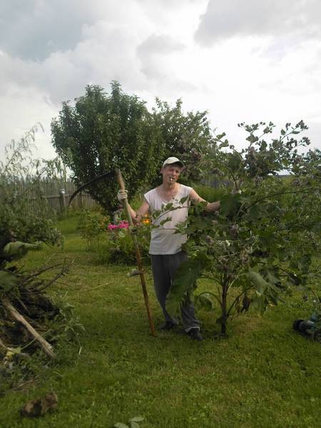 Николай Фомин