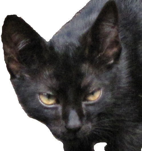 Юрий Коломоец