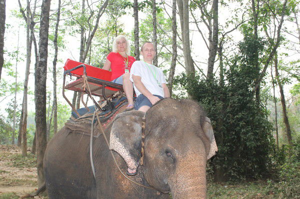 Елена Лоткова