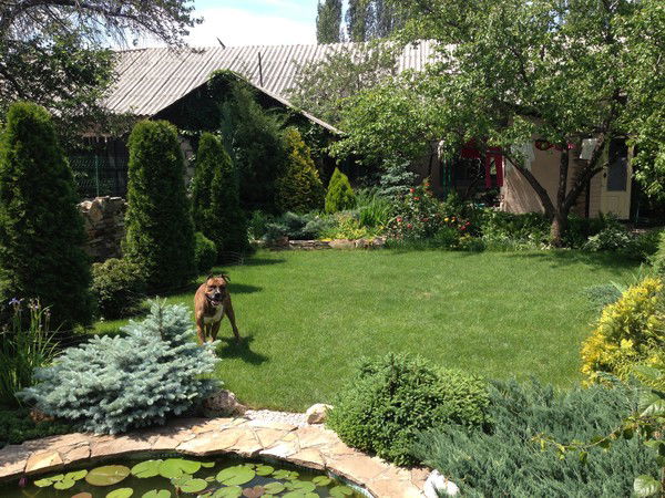 Андрей Миронов