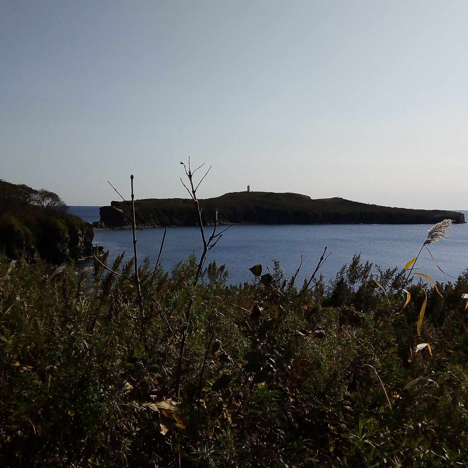 Привлекательная Обоятельная