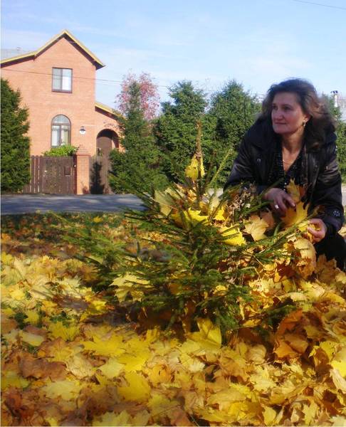 Светлана Романова