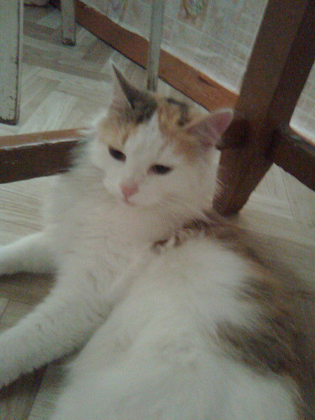 Любовь Тагильцева