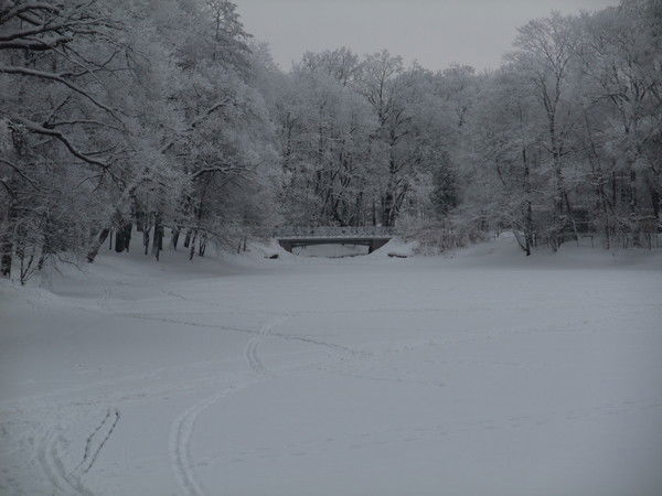 Анна Смирнова