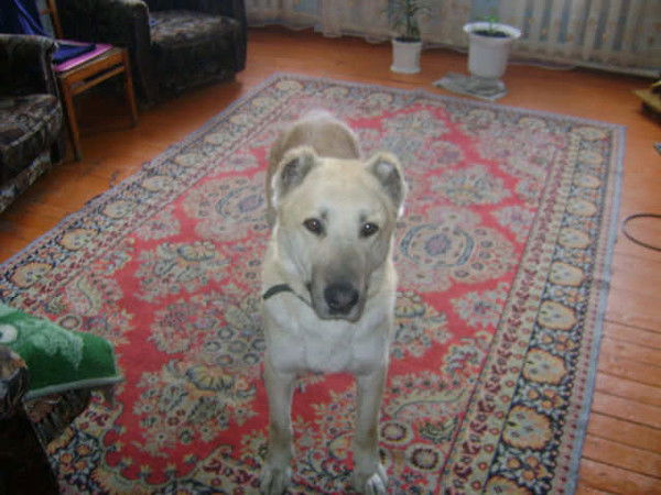 Виталий Витальевич