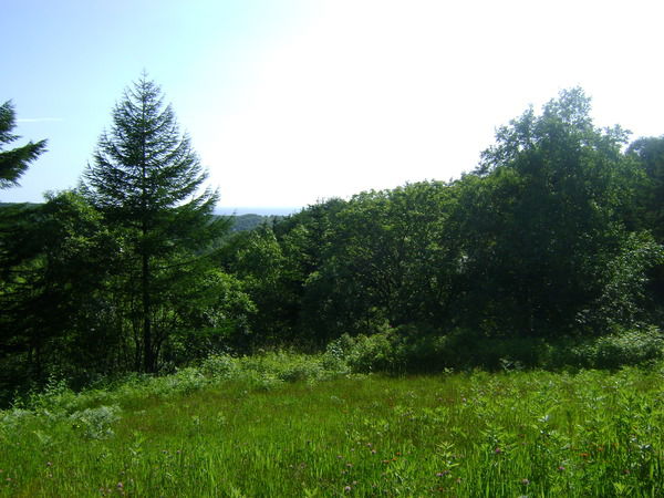 Евгений Мельников