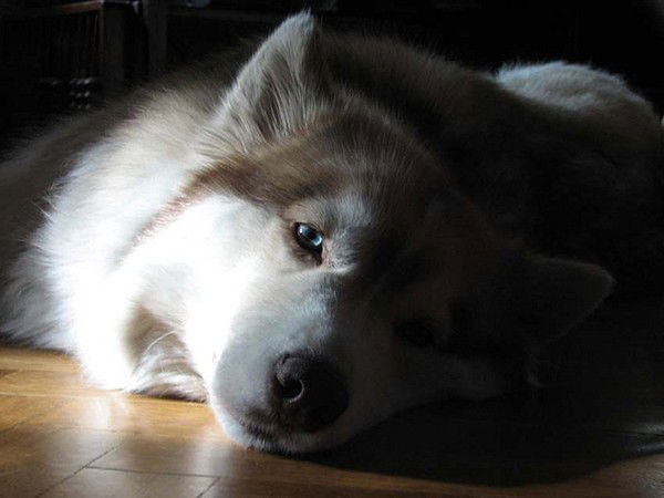 Наталья Пермякова