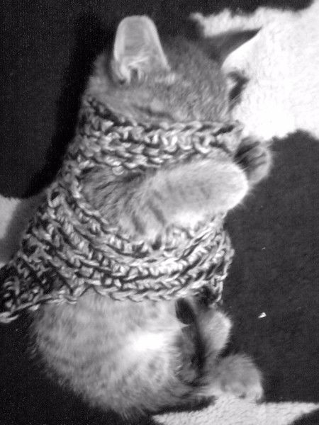 Владимир Вк