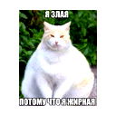Дарья Емельянова