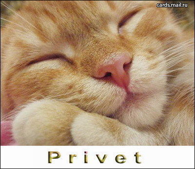 Элла Ямалетдинова