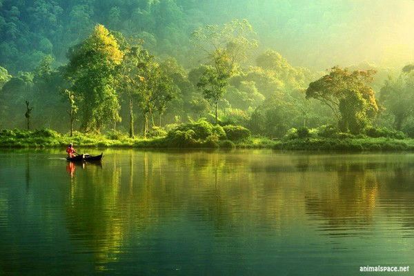 Бай-Ата Бай-Ата