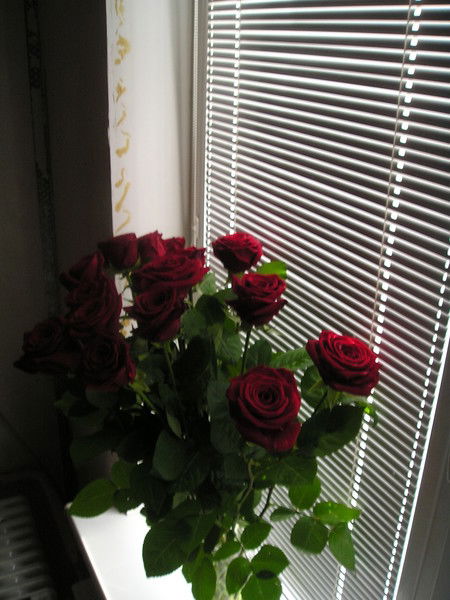 Надежда Платонова