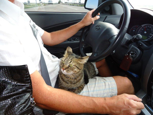 Рома Блохин