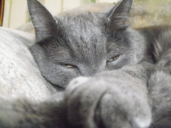 Руслан Юнысов