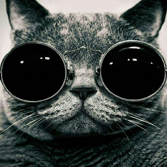 Катерина Шестакова