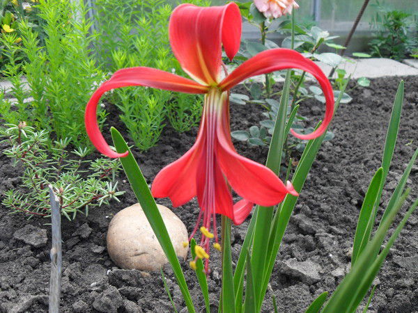 Татьяна Антипина