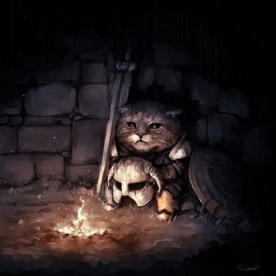 Камиль Котов