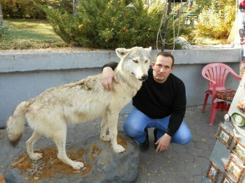 Дмитрий Гревцов