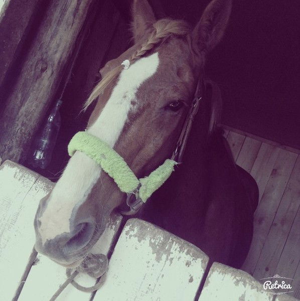 Настя Ядренникова