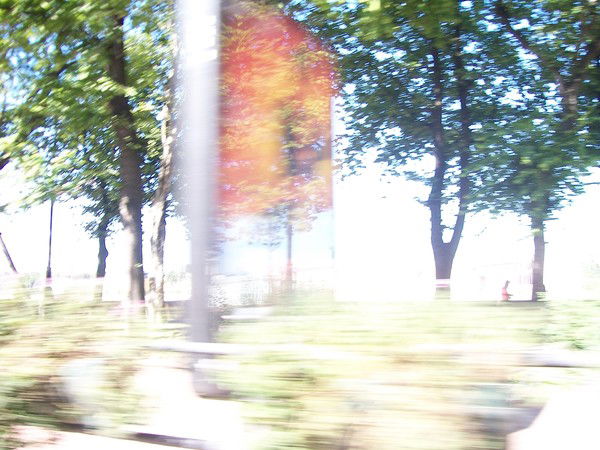 Роман Фролов