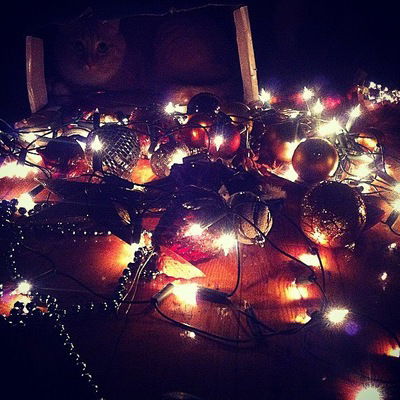 Ангелина Лухверчик