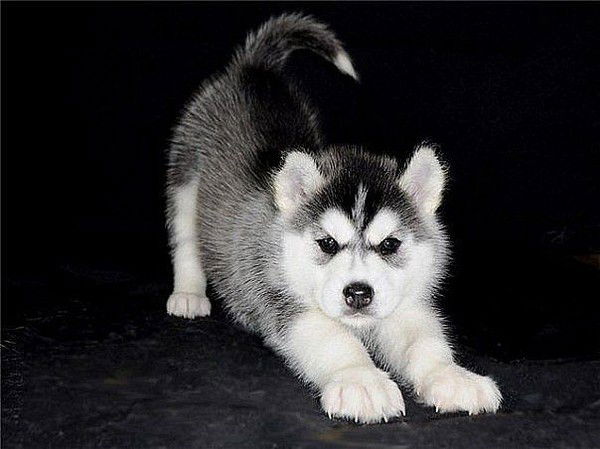 Наталья ******