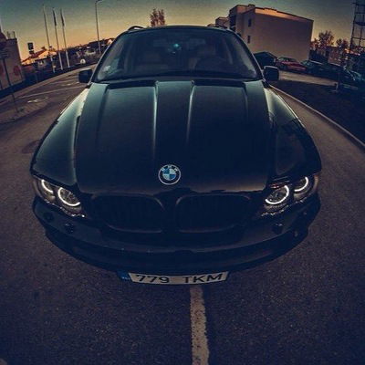 Никита Анцыгин