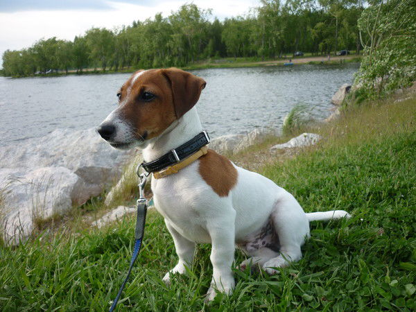 Александр Павлов