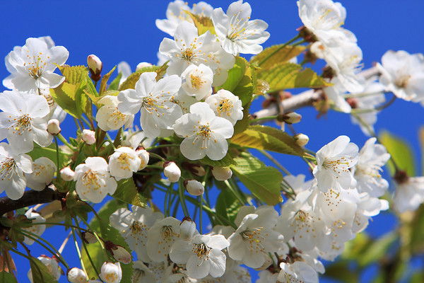 Марина Фролова