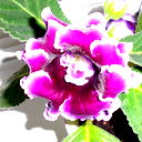 Алсу Галимуллина