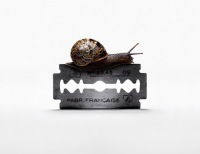 Анастасия Корниенко