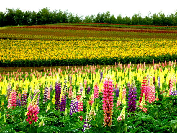 Актоты Избанова